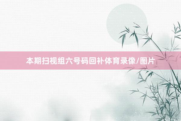 本期扫视组六号码回补体育录像/图片