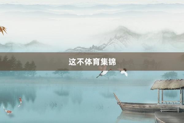 这不体育集锦