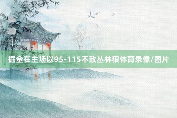 掘金在主场以95-115不敌丛林狼体育录像/图片