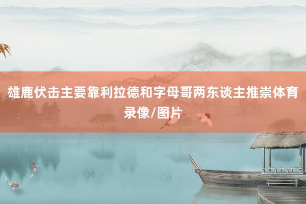 雄鹿伏击主要靠利拉德和字母哥两东谈主推崇体育录像/图片