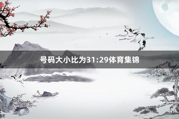 号码大小比为31:29体育集锦