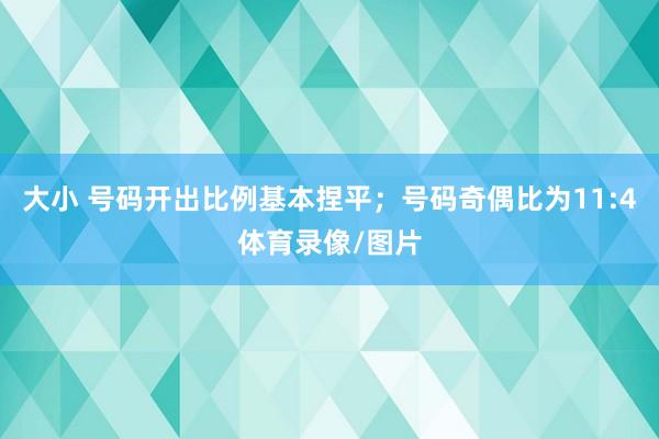 大小 号码开出比例基本捏平；号码奇偶比为11:4体育录像/图片