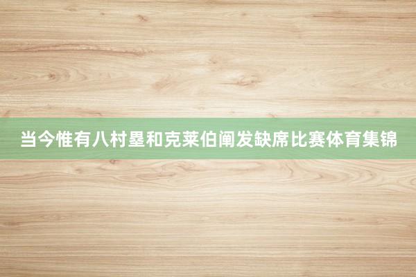 当今惟有八村塁和克莱伯阐发缺席比赛体育集锦