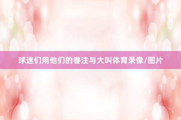 球迷们用他们的眷注与大叫体育录像/图片