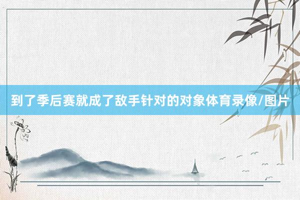 到了季后赛就成了敌手针对的对象体育录像/图片