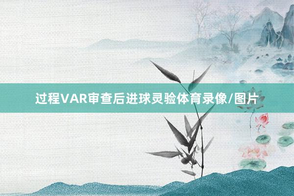 过程VAR审查后进球灵验体育录像/图片