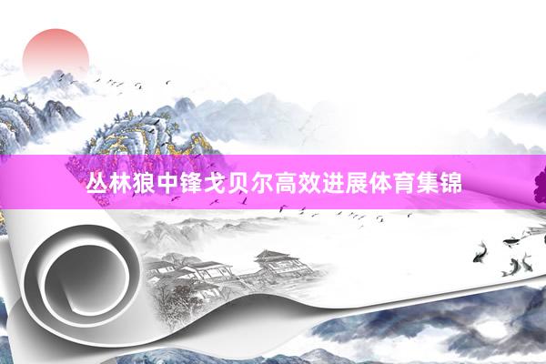 丛林狼中锋戈贝尔高效进展体育集锦