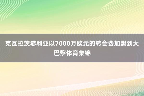 克瓦拉茨赫利亚以7000万欧元的转会费加盟到大巴黎体育集锦