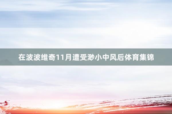在波波维奇11月遭受渺小中风后体育集锦