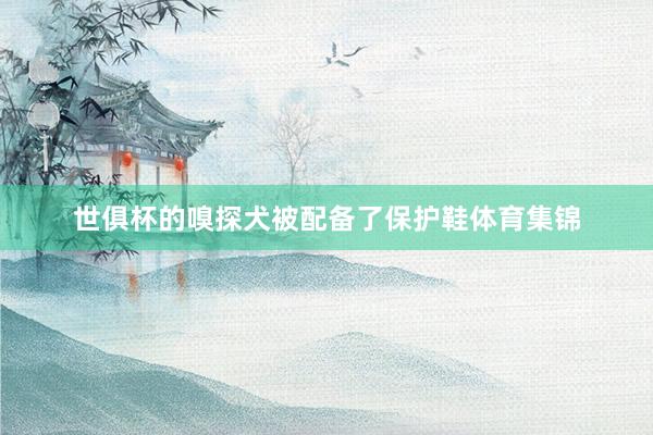 世俱杯的嗅探犬被配备了保护鞋体育集锦