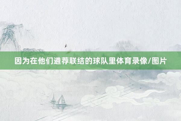 因为在他们遴荐联结的球队里体育录像/图片