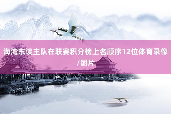 海湾东谈主队在联赛积分榜上名顺序12位体育录像/图片