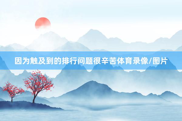 因为触及到的排行问题很辛苦体育录像/图片