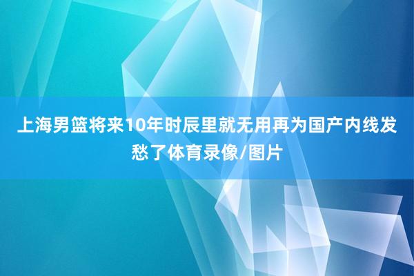 上海男篮将来10年时辰里就无用再为国产内线发愁了体育录像/图片