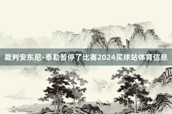 裁判安东尼-泰勒暂停了比赛2024买球站体育信息