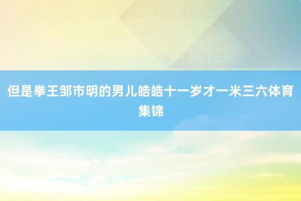 但是拳王邹市明的男儿皓皓十一岁才一米三六体育集锦