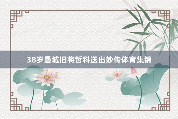 38岁曼城旧将哲科送出妙传体育集锦