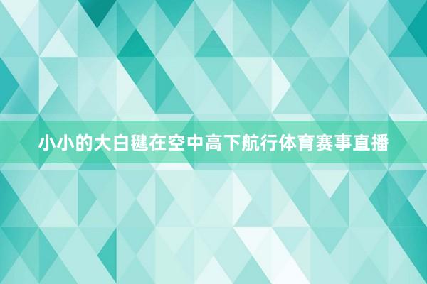 小小的大白毽在空中高下航行体育赛事直播