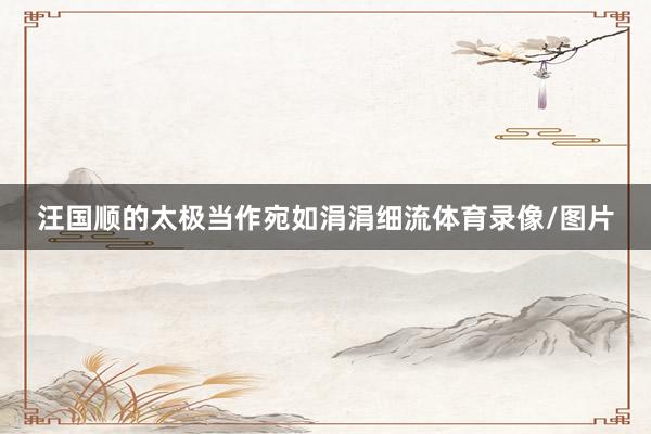 汪国顺的太极当作宛如涓涓细流体育录像/图片