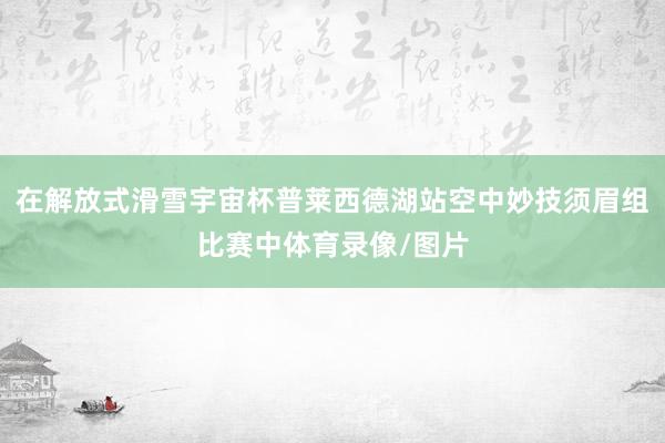 在解放式滑雪宇宙杯普莱西德湖站空中妙技须眉组比赛中体育录像/图片