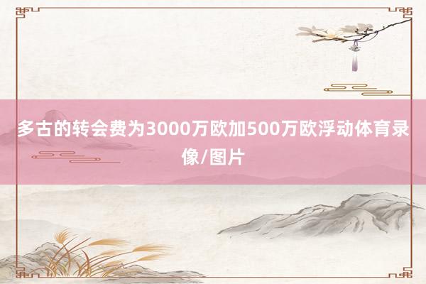 多古的转会费为3000万欧加500万欧浮动体育录像/图片