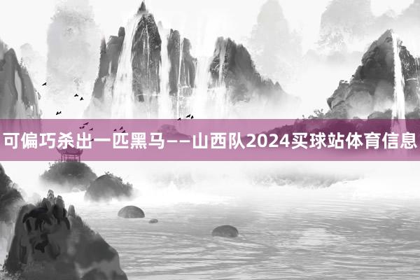 可偏巧杀出一匹黑马——山西队2024买球站体育信息
