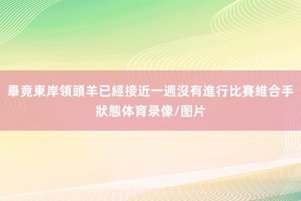 畢竟東岸領頭羊已經接近一週沒有進行比賽維合手狀態体育录像/图片