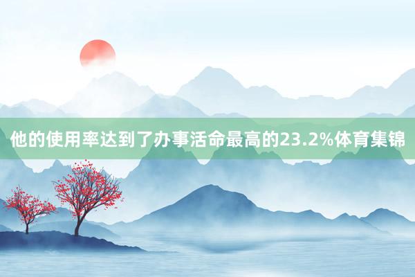 他的使用率达到了办事活命最高的23.2%体育集锦