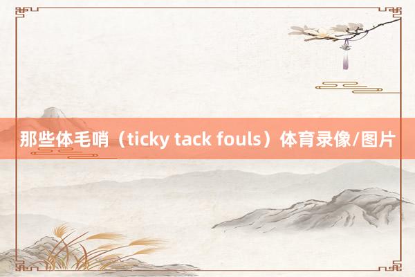 那些体毛哨（ticky tack fouls）体育录像/图片